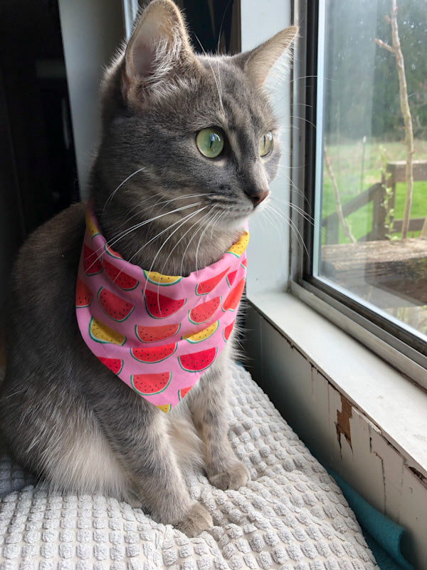 Pet Bandana Small - Pink Watermelon - FREE US shipping