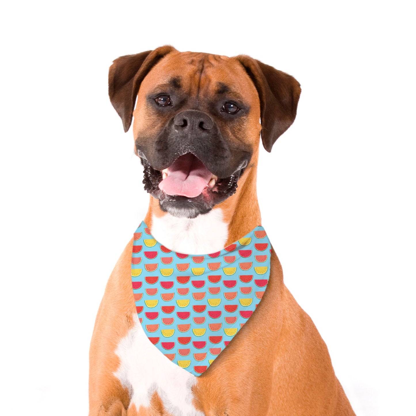 Pet Bandana Large - Blue Watermelon - FREE US shipping