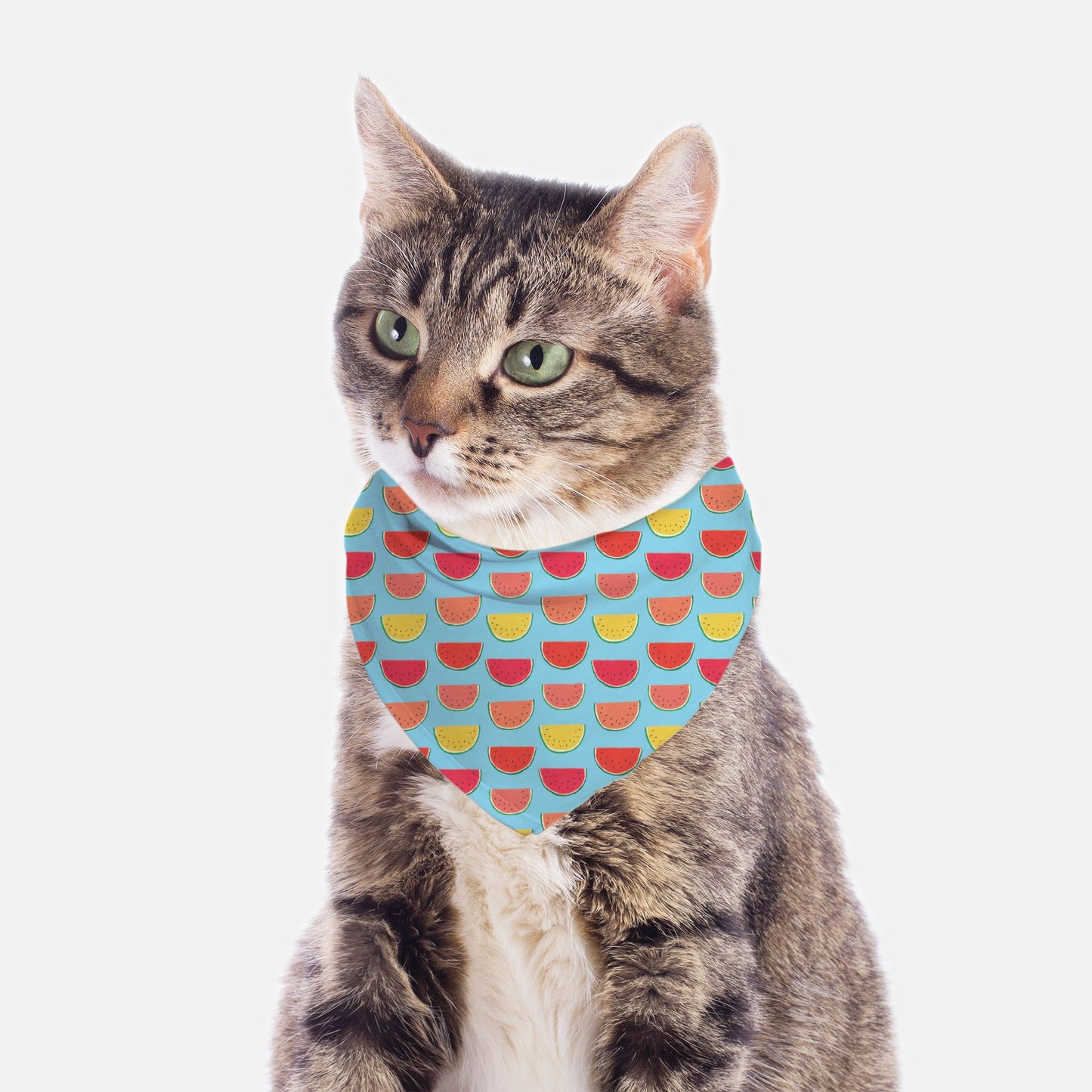 Pet Bandana Small - Blue Watermelon - FREE US shipping