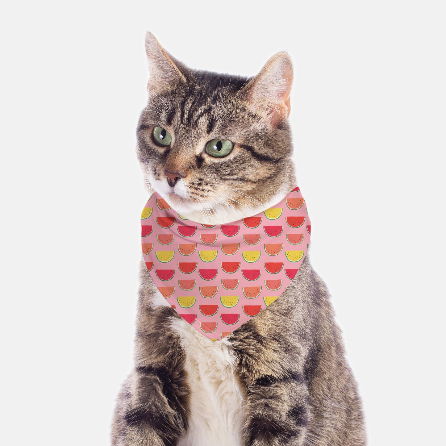 Pet Bandana Small - Pink Watermelon - FREE US shipping