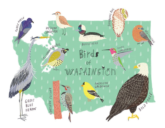 Illustrated card featuring diverse birds of Washington state, including heron, woodpecker, goldfinch, and eagle, on mint green background with handwritten labels for each species
