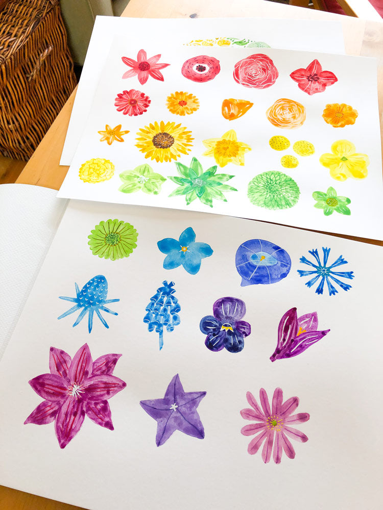 Colorful watercolor flower chart featuring various blooms arranged in rainbow order, from vibrant reds and oranges to cool blues and purples, showcasing diverse floral shapes and sizes on white paper