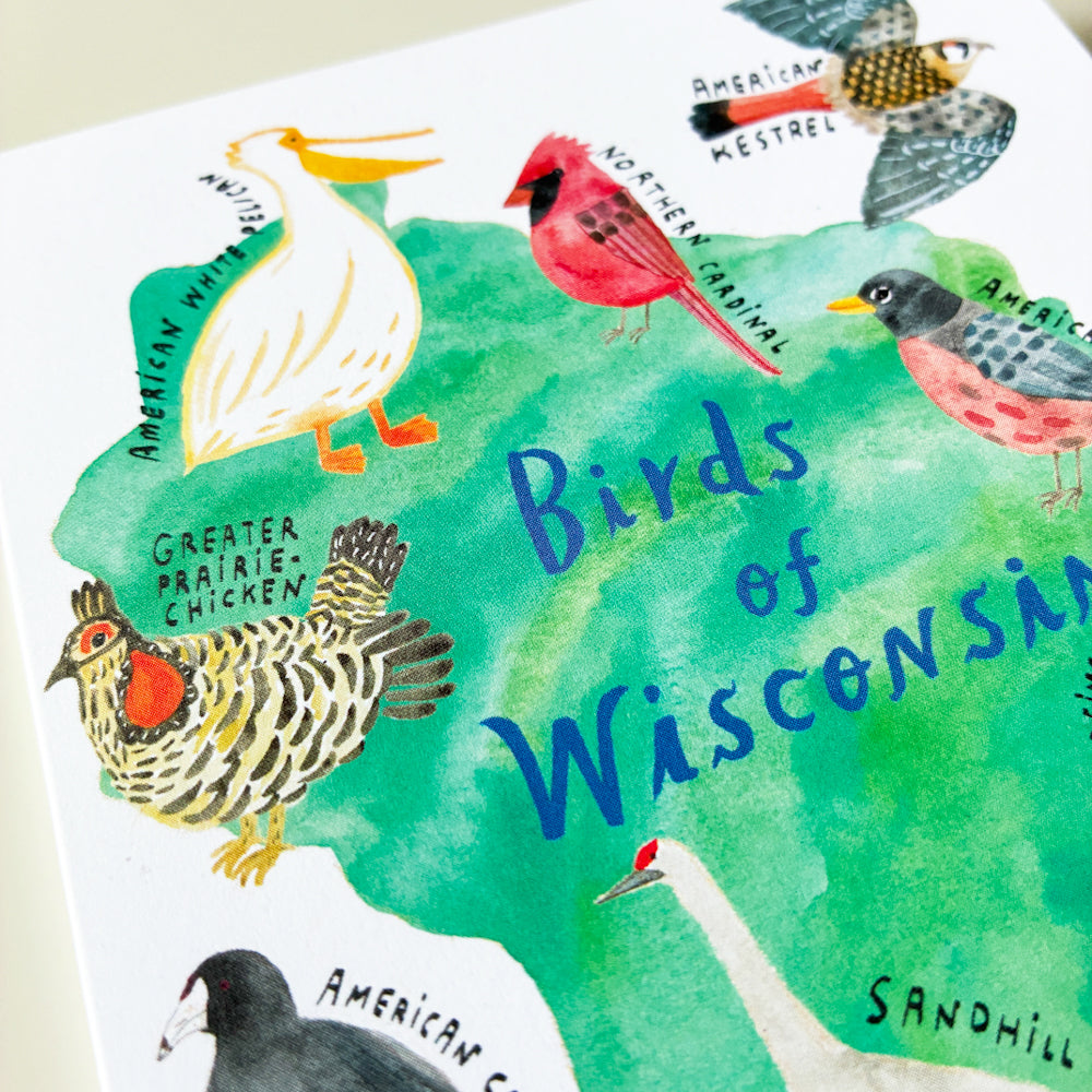 Birds of Wisconsin Card