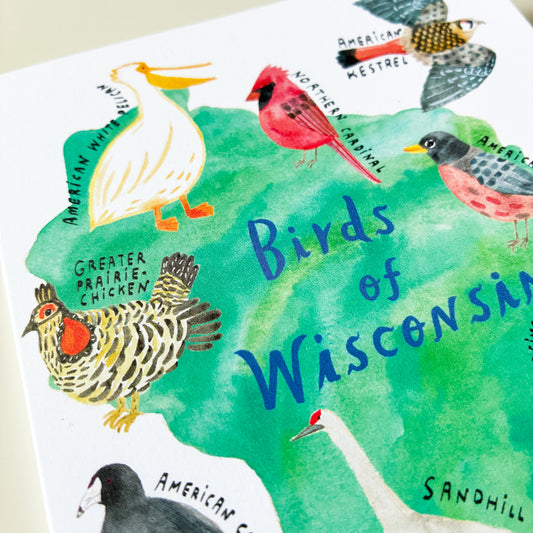 Birds of Wisconsin Card