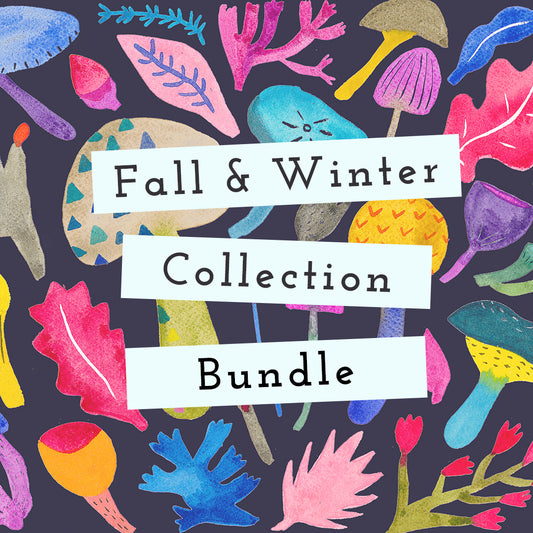 2024 Fall & Winter Collection Bundle