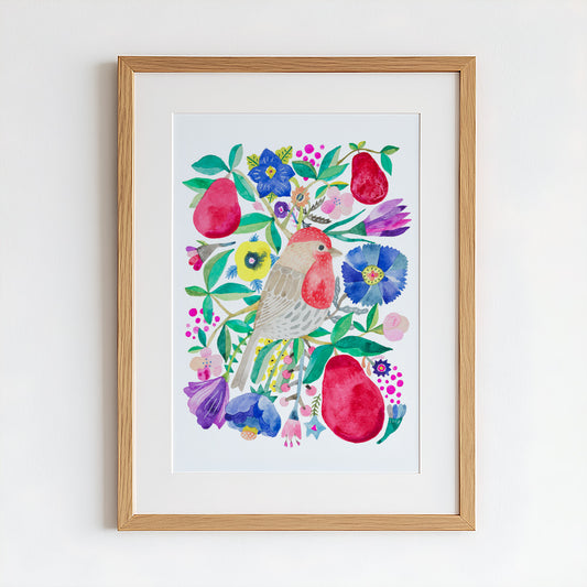 House Finch & Red Pear Original Painting - 12"x16"