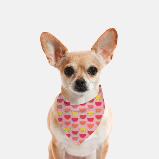 Pet Bandana Small - Pink Watermelon - FREE US shipping