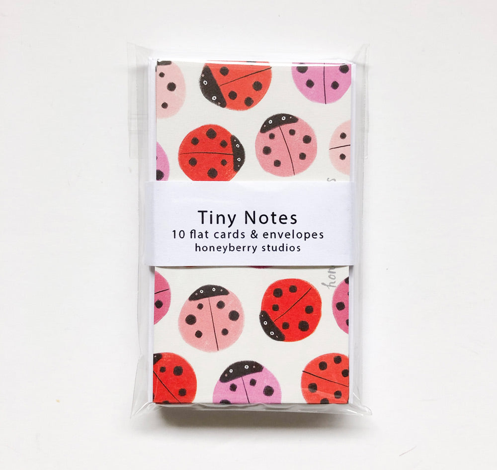 Lady Bug Tiny Notes (Set of 10)